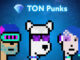 Ton Punks